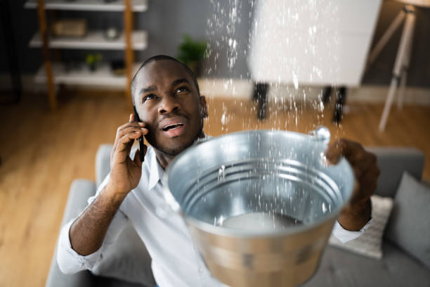 Best Ceiling water damage repair  in Orcdlands Estates, HI