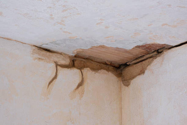 Best Basement water damage restoration  in Orcdlands Estates, HI