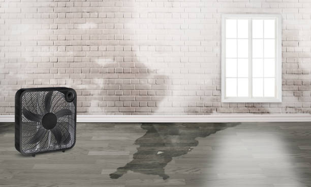 Best Sewage cleanup and water damage restoration  in Orcdlands Estates, HI