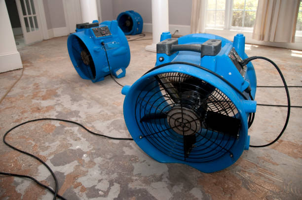 Carpet water damage restoration in HI
