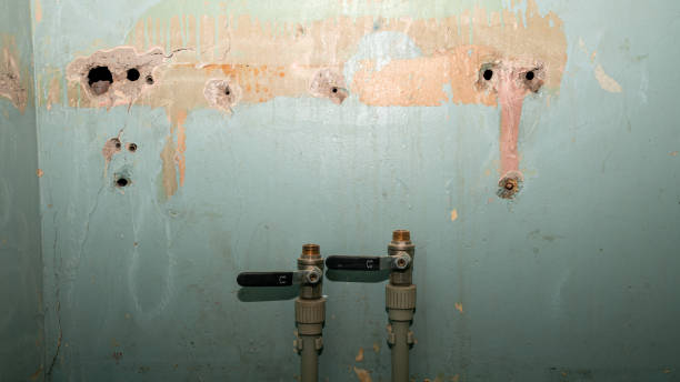 Best Flood damage cleanup  in Orcdlands Estates, HI