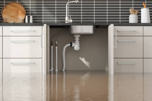 Best Fire Damage Restoration  in Orcdlands Estates, HI