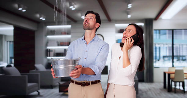 Best Local water damage restoration  in Orcdlands Estates, HI