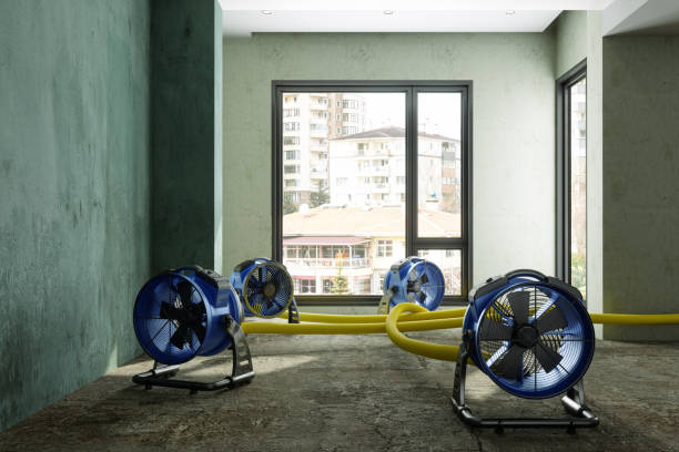 Best Mold removal after water damage  in Orcdlands Estates, HI