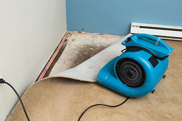 Best Water damage restoration near me  in Orcdlands Estates, HI
